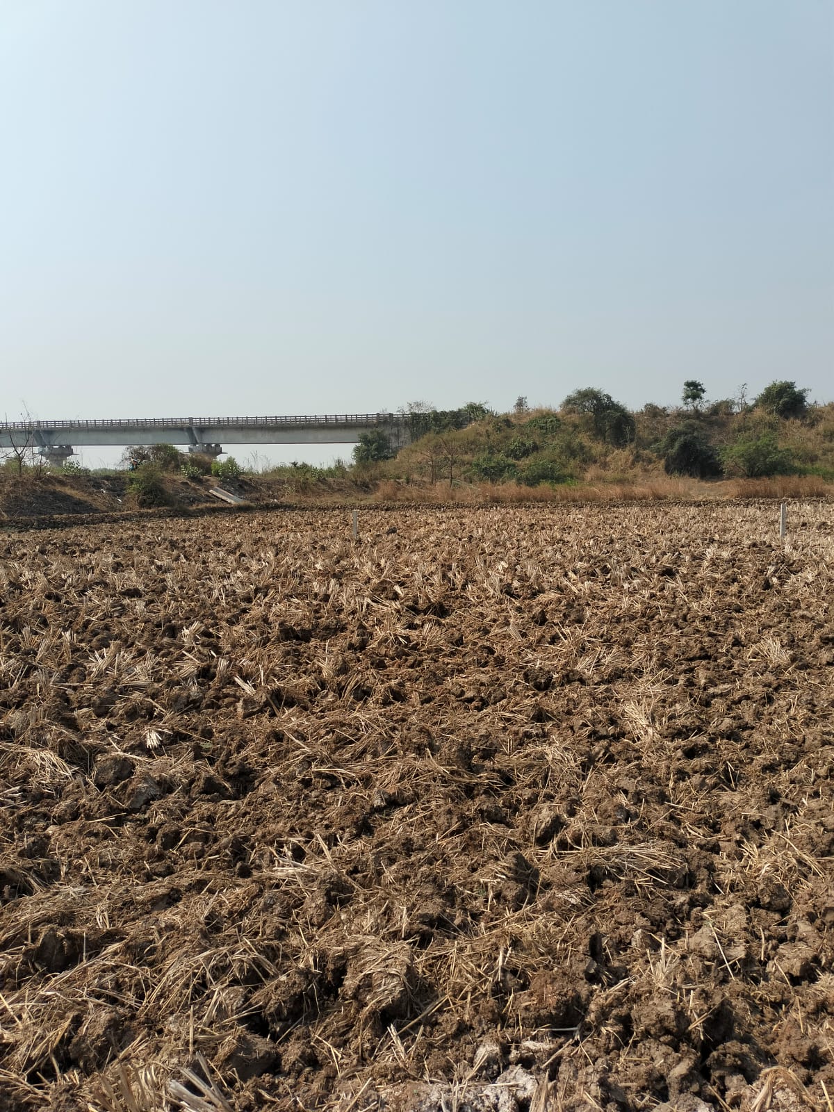 Plot For Sale in Haware International Info