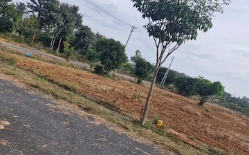 Plot For Sale in Diggi Road
