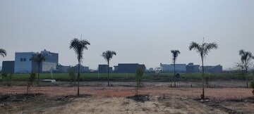 Plot Area in  Plot at Tappal – for Sale