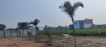 Plot Area in  Plot at Tappal – for Sale