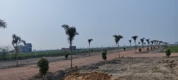 Plot Area in  Plot at Tappal – for Sale