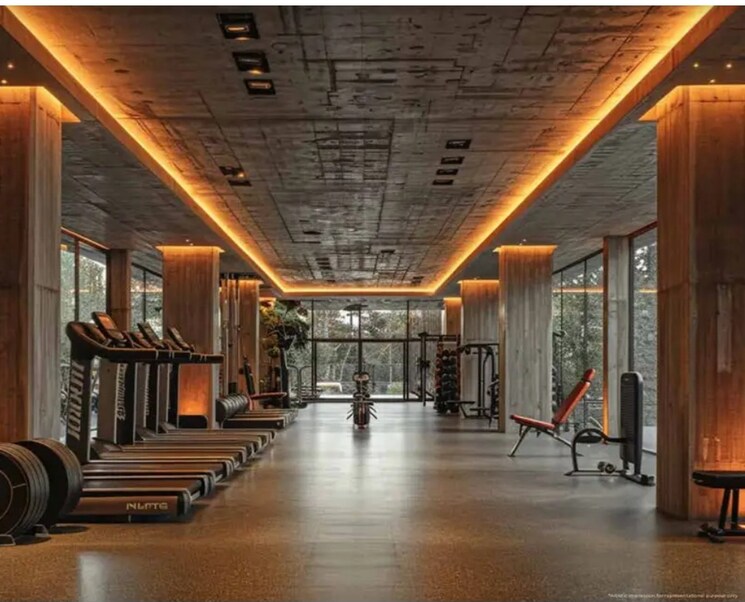 Gym, purvanchal-royal-city 3 Bedroom 1800 Sq.Ft. Apartment In Chi V Greater Noida Greater Noida 8173236