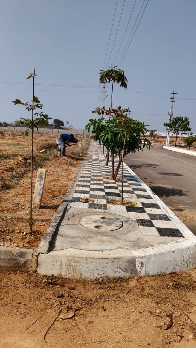 Exterior View, shadnagar  201 Sq.Yd. Plot In Shadnagar Hyderabad 8173264