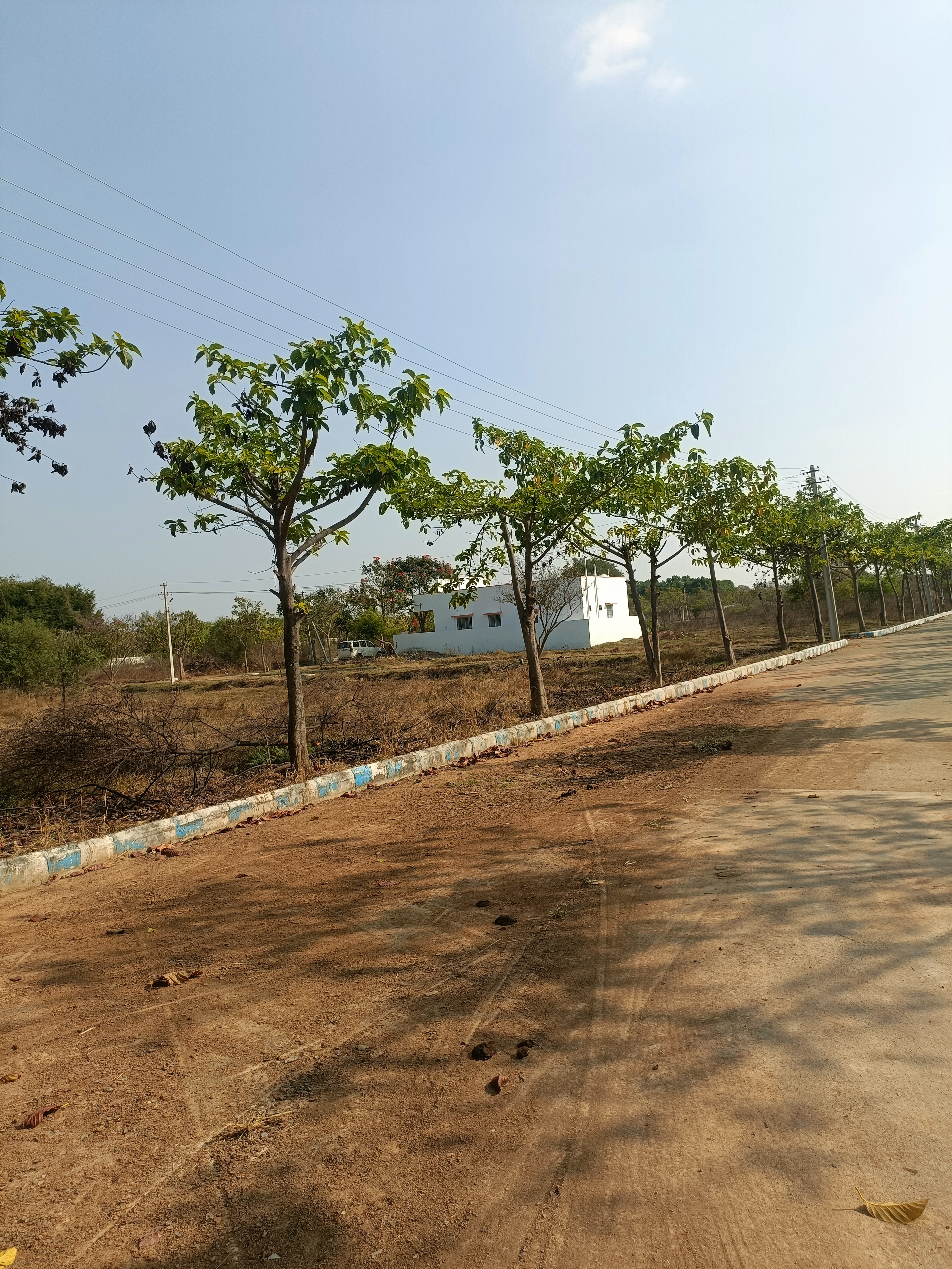 Plot For Sale in Lalaiah Group