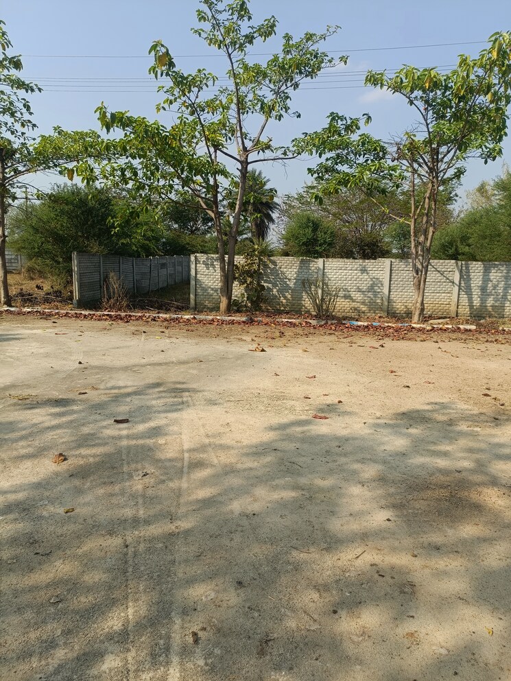 undefined, shadnagar  150 Sq.Yd. Plot In Shadnagar Hyderabad 8173381