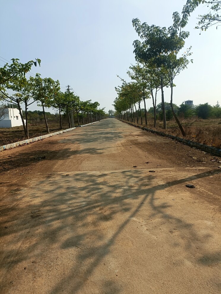 undefined, shadnagar  150 Sq.Yd. Plot In Shadnagar Hyderabad 8173381