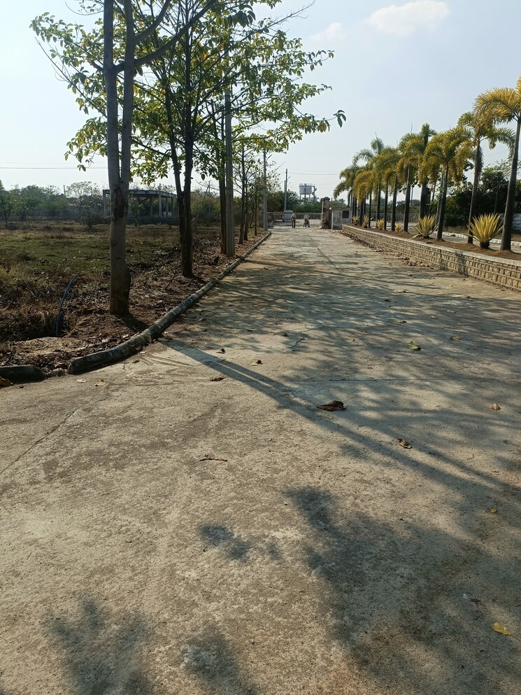 undefined, shadnagar  150 Sq.Yd. Plot In Shadnagar Hyderabad 8173381