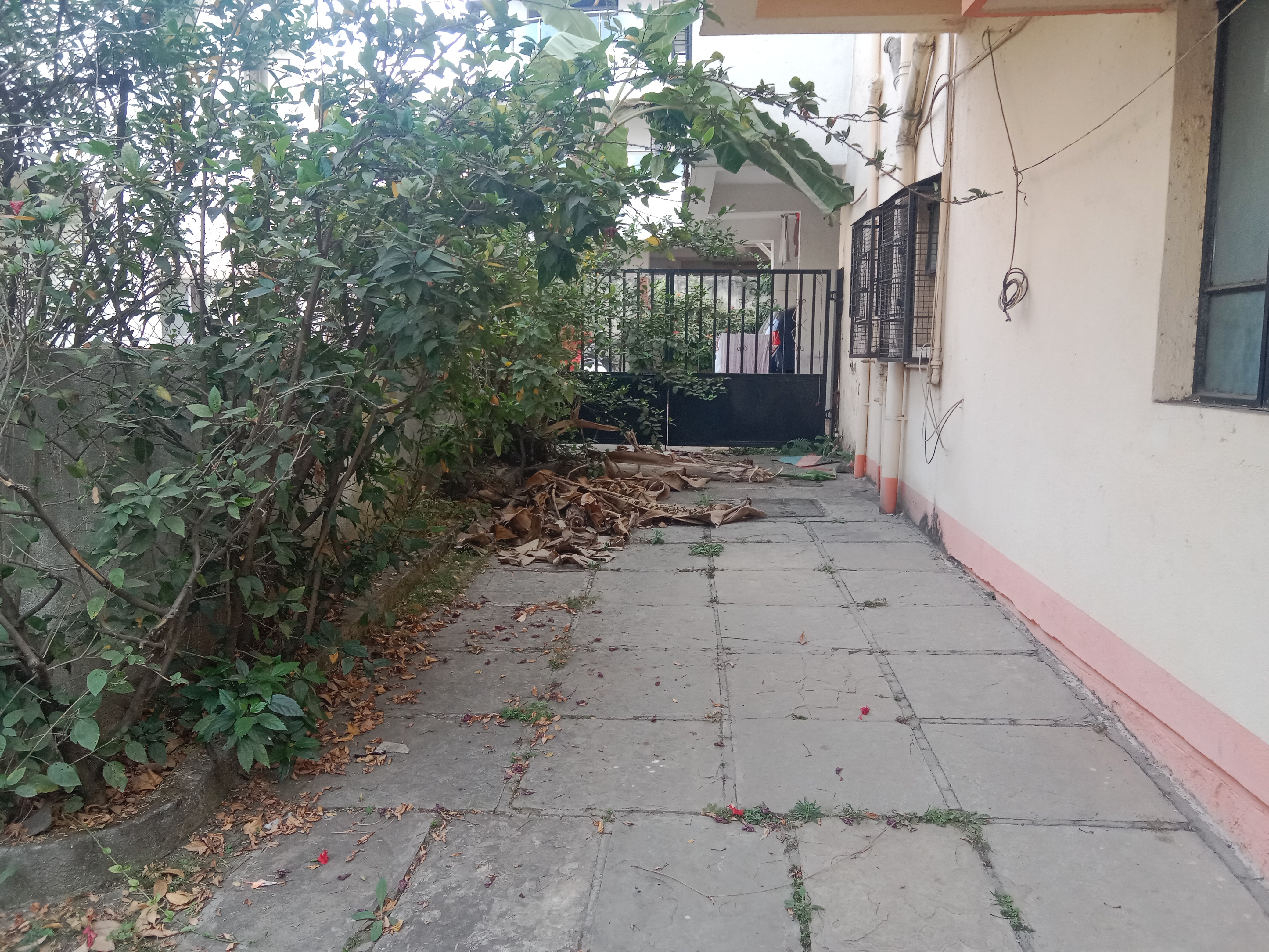 5 BHK + Pooja Room,Servant Room,Extra Room Villa For Sale in Raghavendra CHS