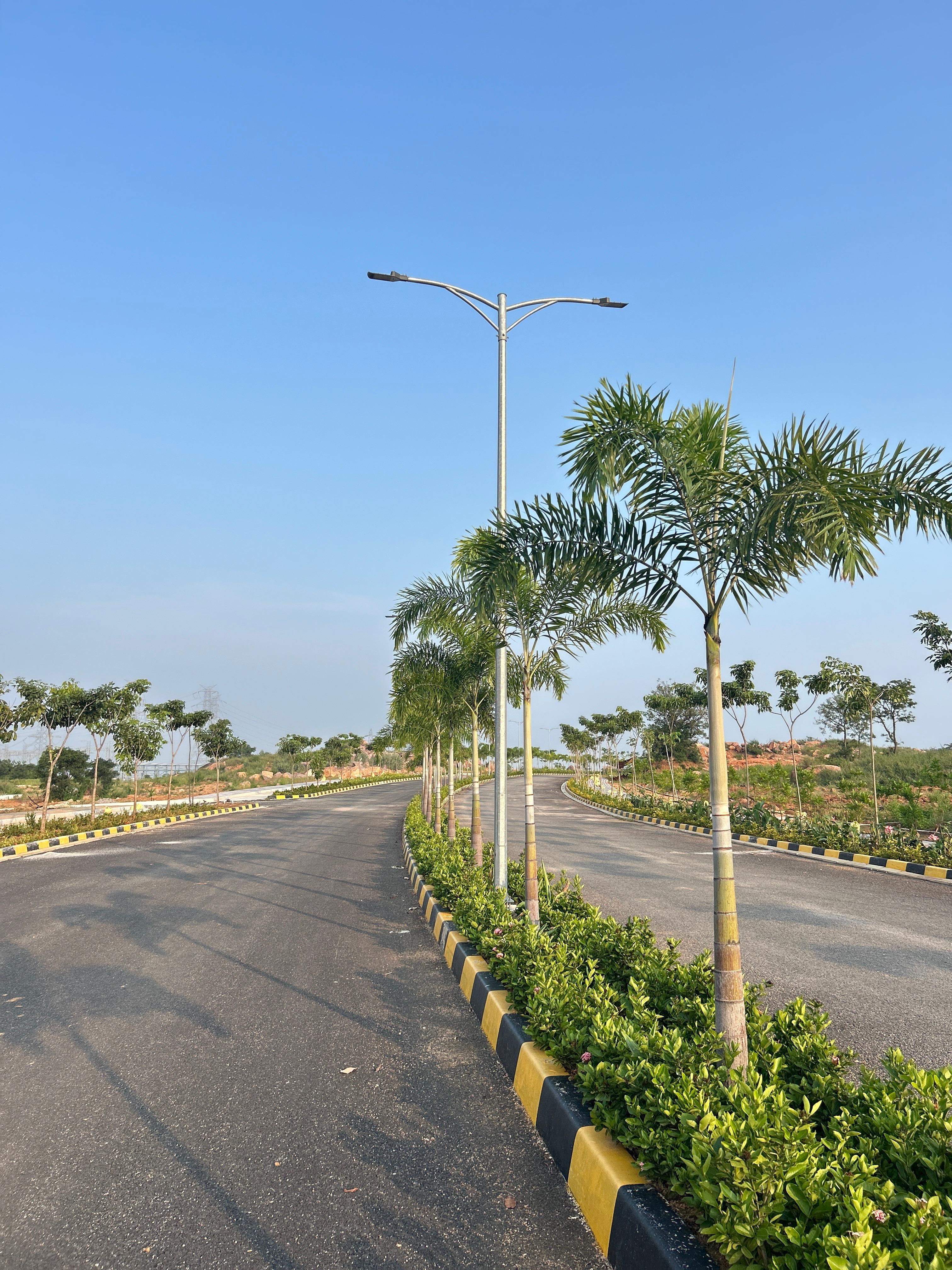 Plot For Sale in Arcedo Lotus Gardens Premium