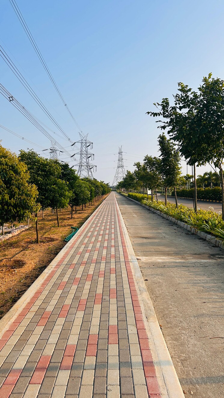 Exterior View, arcedo-lotus-gardens-premium  147 Sq.Yd. Plot In Shadnagar Hyderabad 8173415