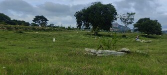 Plot For Resale in Denkanikottai Hosur  8173422