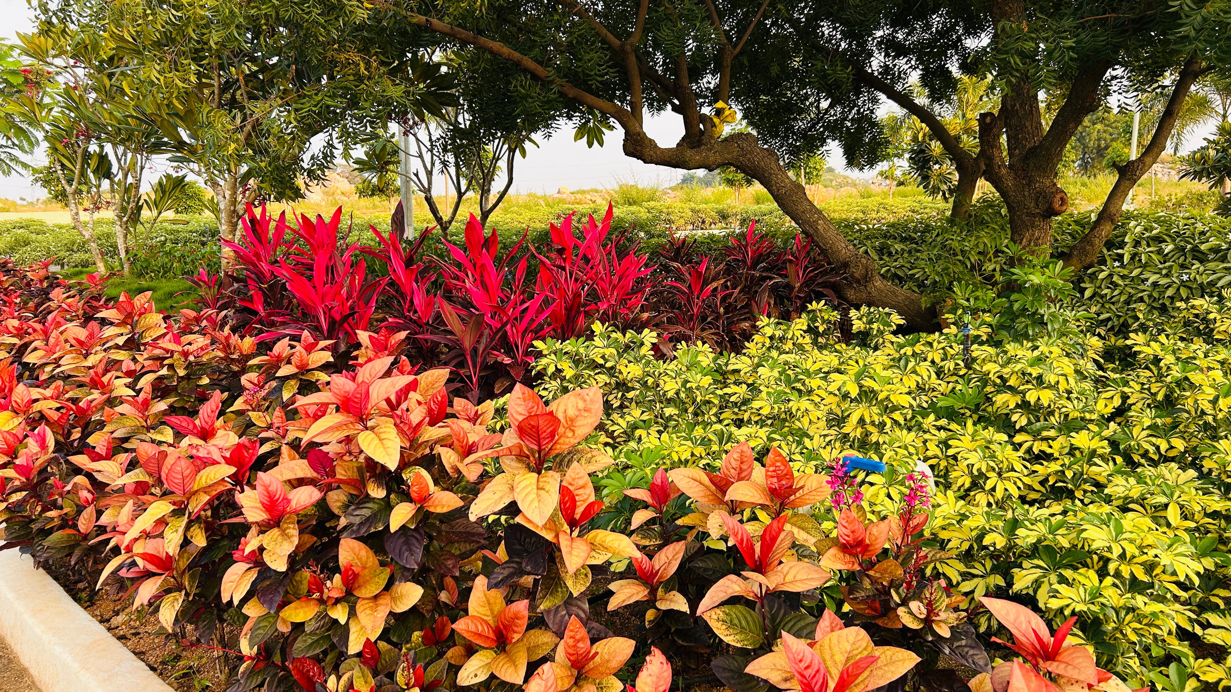 Plot For Sale in Yuva Park