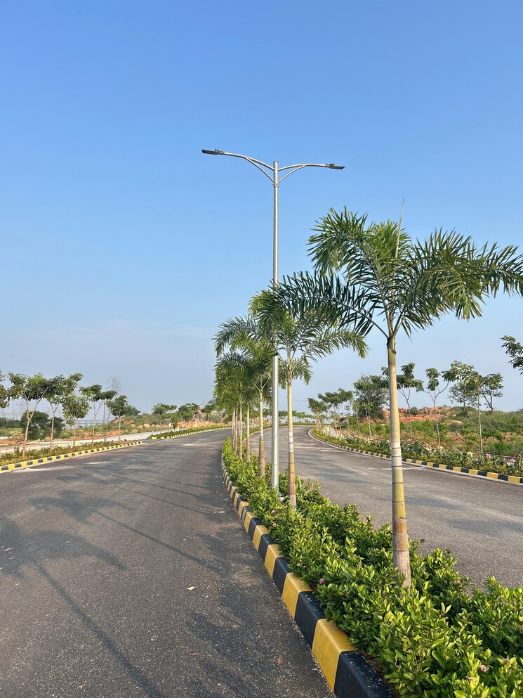 Garden, yuva-park  165 Sq.Yd. Plot In Shadnagar Hyderabad 8173437