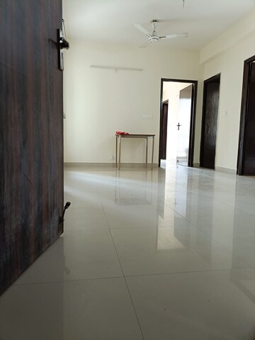 2 BHK Apartment For Rent in JKG Palm Resort, Raj Nagar Extension