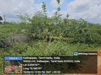 Plot For Resale in Karuppayurani Madurai  8173613