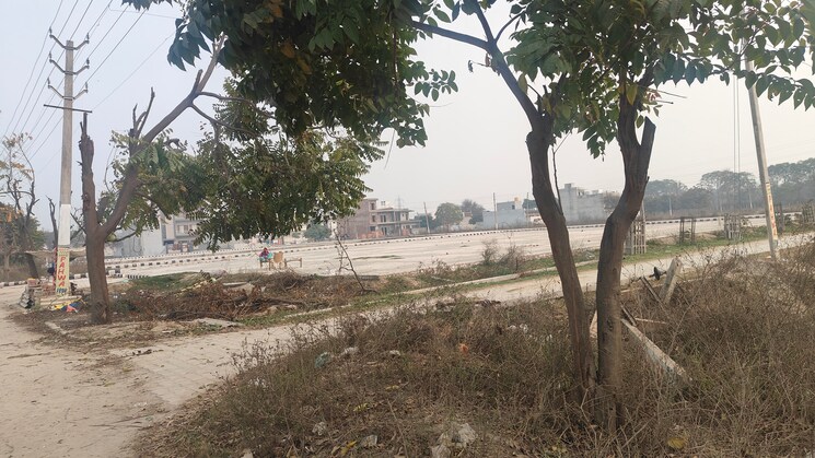 undefined, sector 8  117 Sq.Yd. Plot In Sector 8 Panipat 8173977