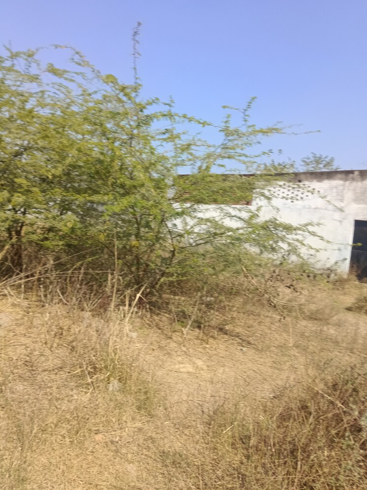 undefined, deva road Commercial Industrial Plot 10000 Sq.Ft. In Deva Road Lucknow 8174015