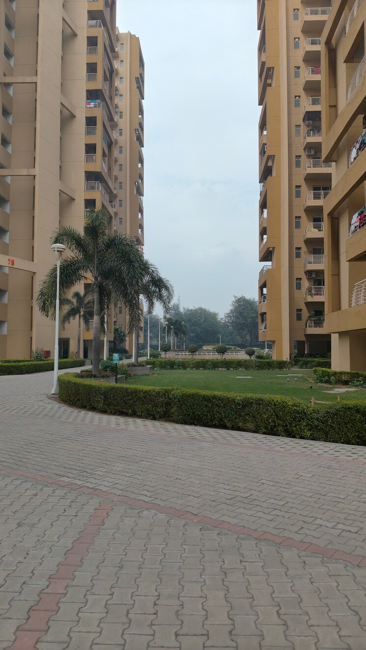 Exterior View, sector 20 3 Bedroom 1850 Sq.Ft. Apartment In Sector 20 Panchkula 8174122