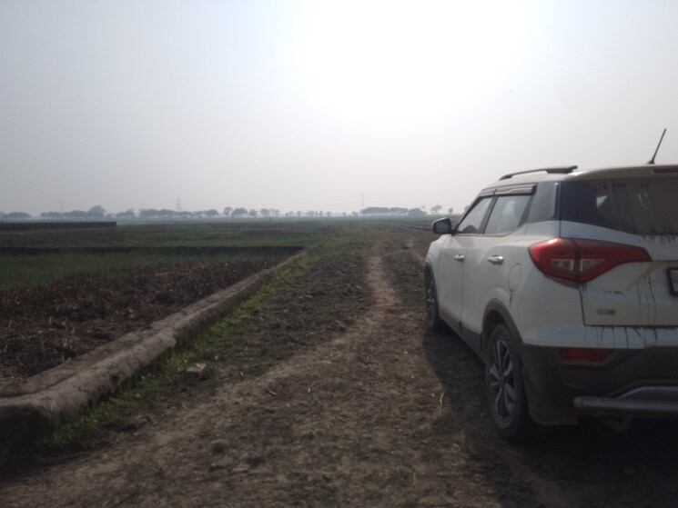 Exterior View, taramandal  1000 Sq.Yd. Plot In Taramandal Gorakhpur 8174138