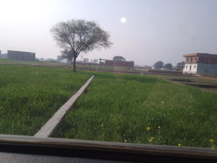 Exterior View, taramandal  1000 Sq.Yd. Plot In Taramandal Gorakhpur 8174138