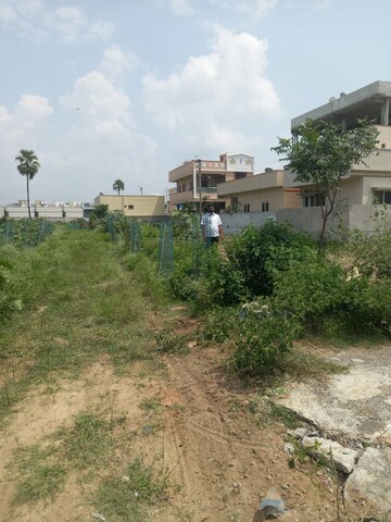  Plot For Sale in Peeranchuruvu