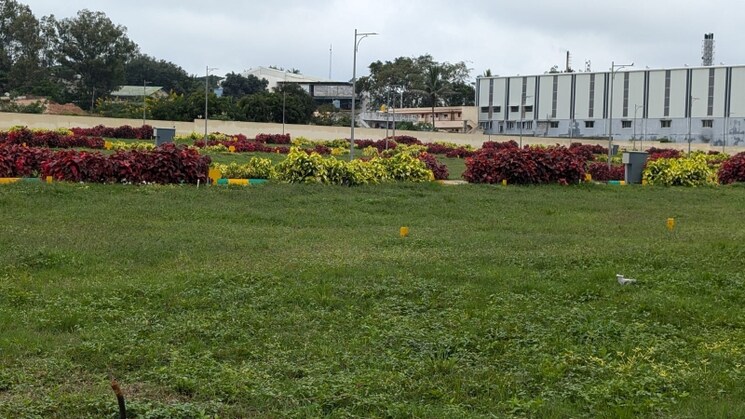 Garden, sampangi rama nagar  1200 Sq.Yd. Plot In Sampangi Rama Nagar Bangalore 8174412