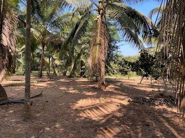  Plot – Garden View at Alibag - for Sale