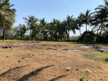 Plot For Resale in Alibag Raigad  8174588