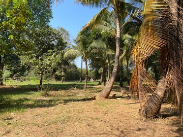  Plot – Garden View at Alibag - for Sale