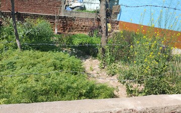 Plot For Sale in Sikandrabad