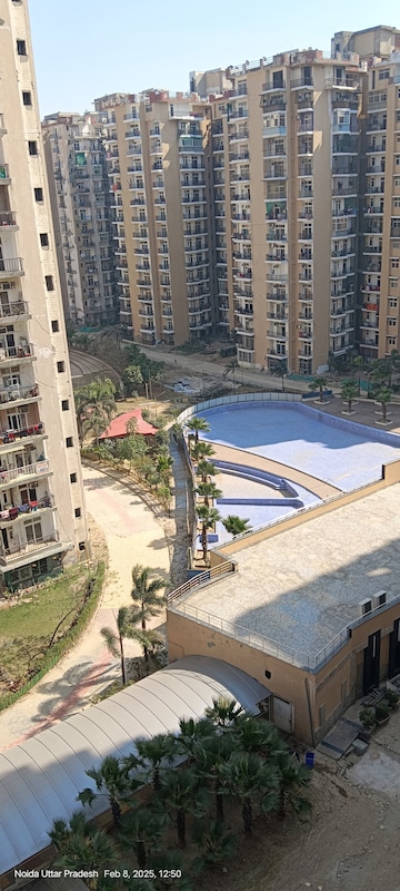 3 BHK Apartment For Rent in Amrapali Zodiac Sector 120 Noida  8174803