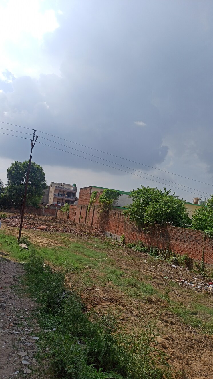 undefined, kursi road Commercial Land 5000 Sq.Ft. In Kursi Road Lucknow 8174989