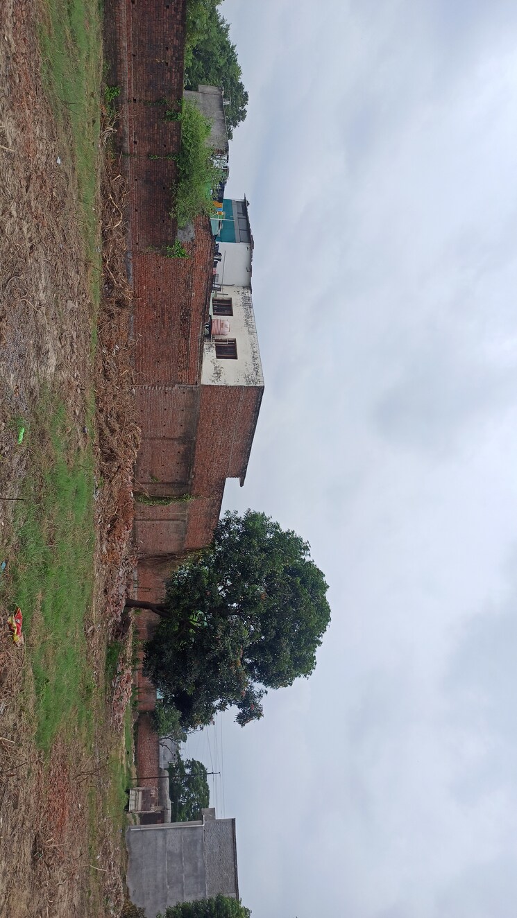 Exterior View, kursi road Commercial Land 5000 Sq.Ft. In Kursi Road Lucknow 8174989