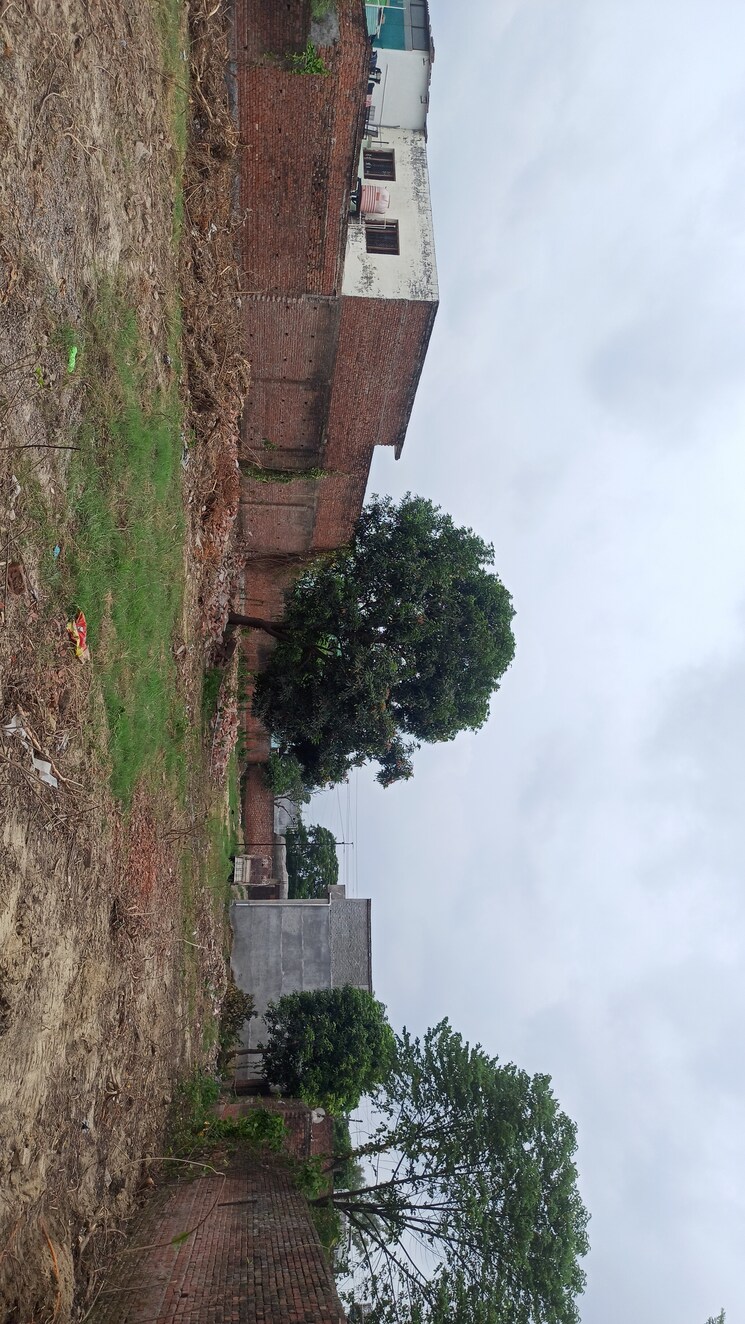 Exterior View, kursi road Commercial Land 5000 Sq.Ft. In Kursi Road Lucknow 8174989