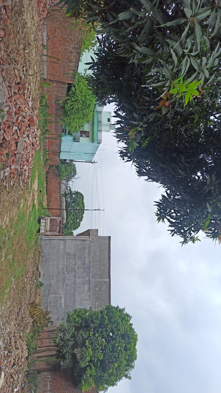 Exterior View, kursi road Commercial Land 5000 Sq.Ft. In Kursi Road Lucknow 8174989