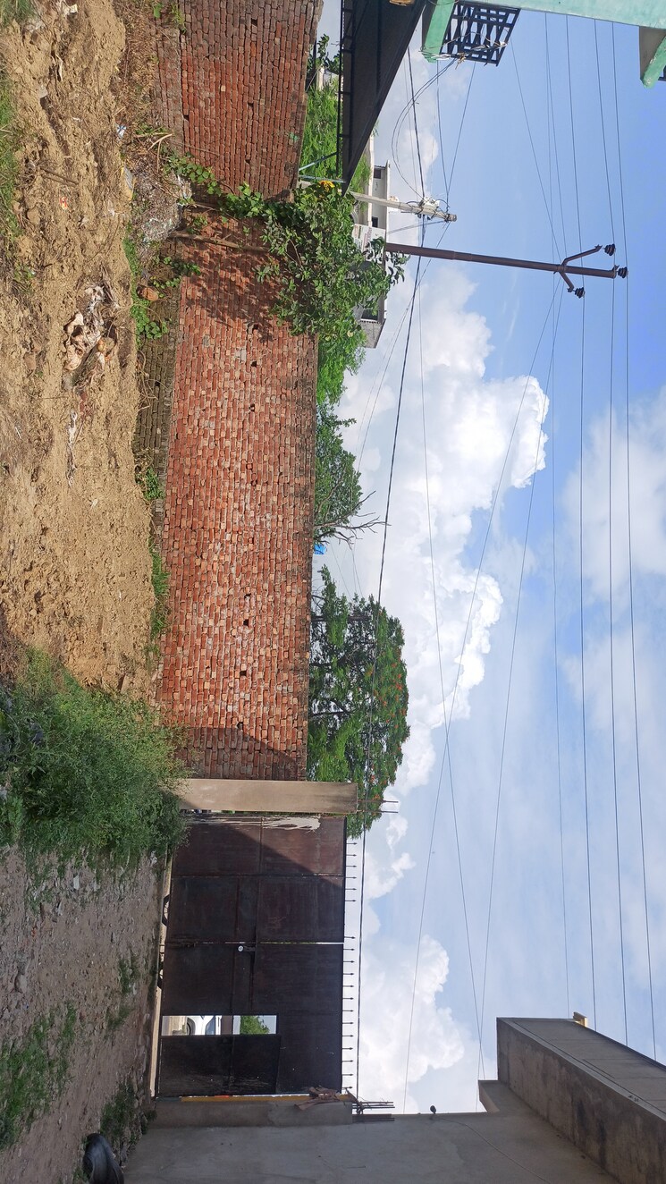 Exterior View, kursi road Commercial Land 5000 Sq.Ft. In Kursi Road Lucknow 8174989