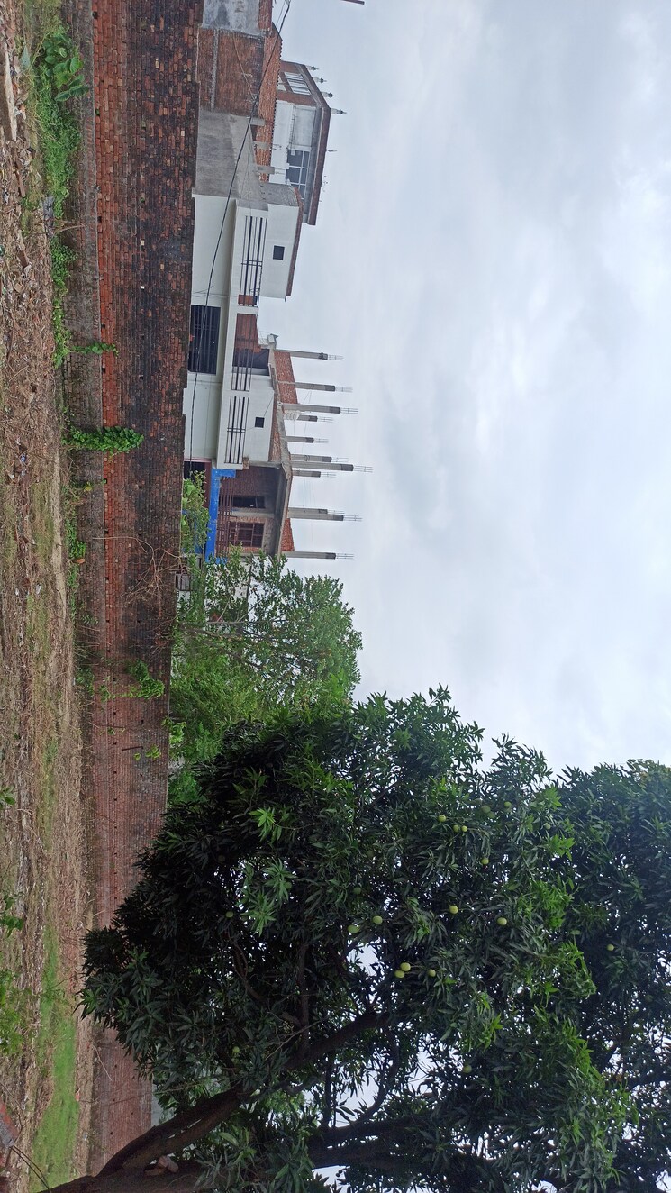 Exterior View, kursi road Commercial Land 5000 Sq.Ft. In Kursi Road Lucknow 8174989