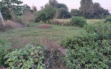 Plot For Sale in Jewar