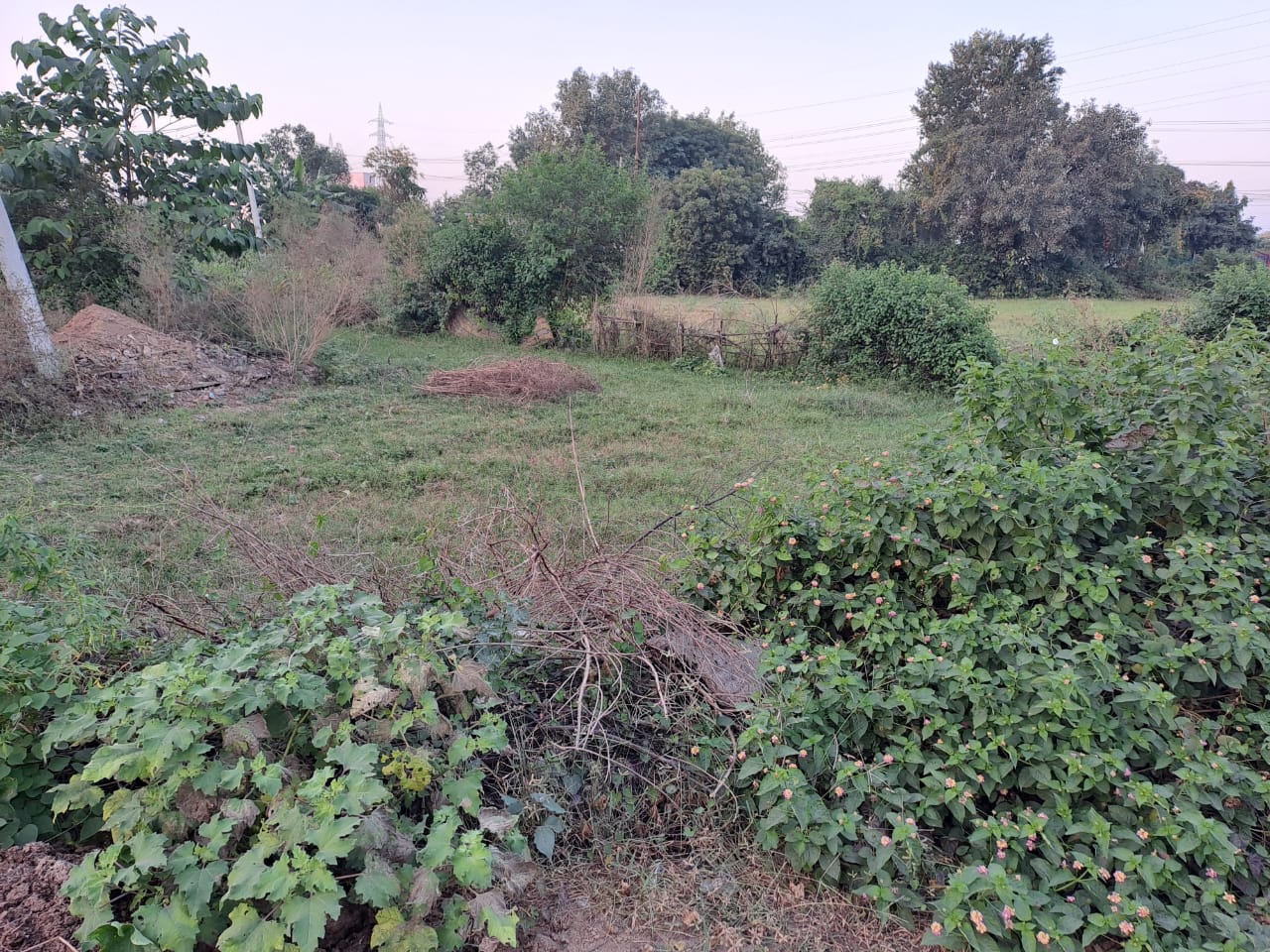 Plot For Sale in Jewar