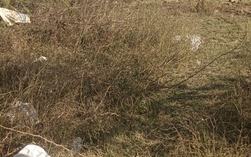 Plot For Sale in Jewar
