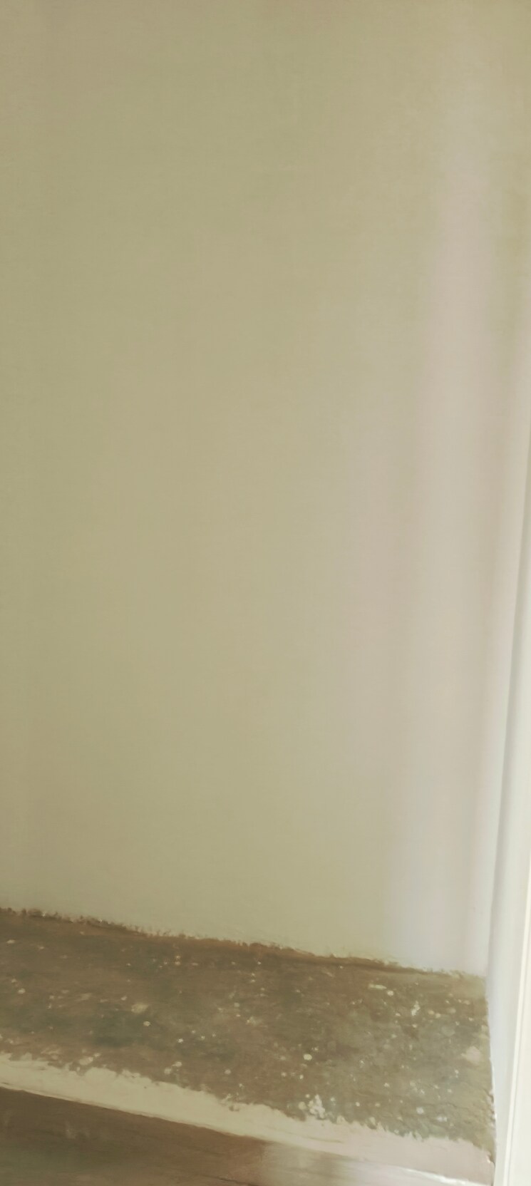 Room, silverglades-the-melia 2 Bedroom 873 Sq.Ft. Apartment In Sohna Sector 35 Gurgaon 8176112