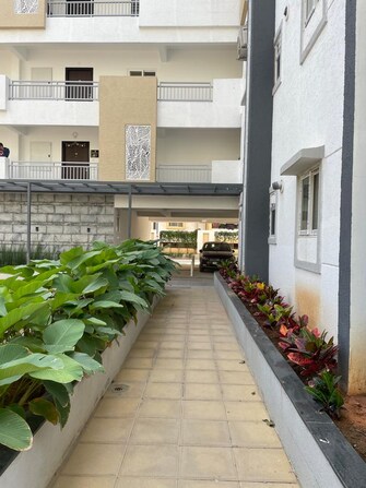 2 BHK Apartment For Rent in DSR Brown Creepers Gunjur Bangalore  8176576