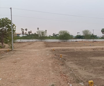 Plot For Resale in Mansanpalle Hyderabad  8176693