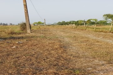 Plot Area in  Plot at Joka – for Sale