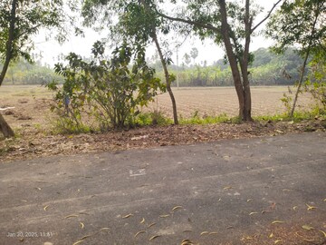 Plot Area in  Land at Tonk Road – for Sale