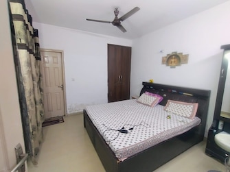 2 BHK Apartment For Rent in Supertech Cape Town Sector 74 Noida  8177104