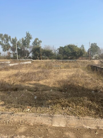  Plot For Sale in TDI City Kingsbury, Kundli