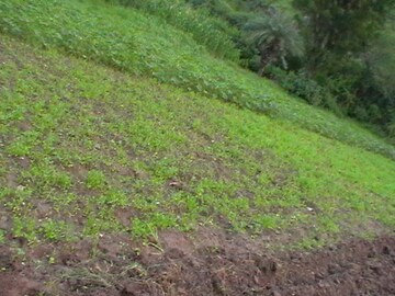  Plot – Exterior View View at Yercaud - for Sale
