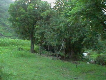  Plot – Exterior View View at Yercaud - for Sale