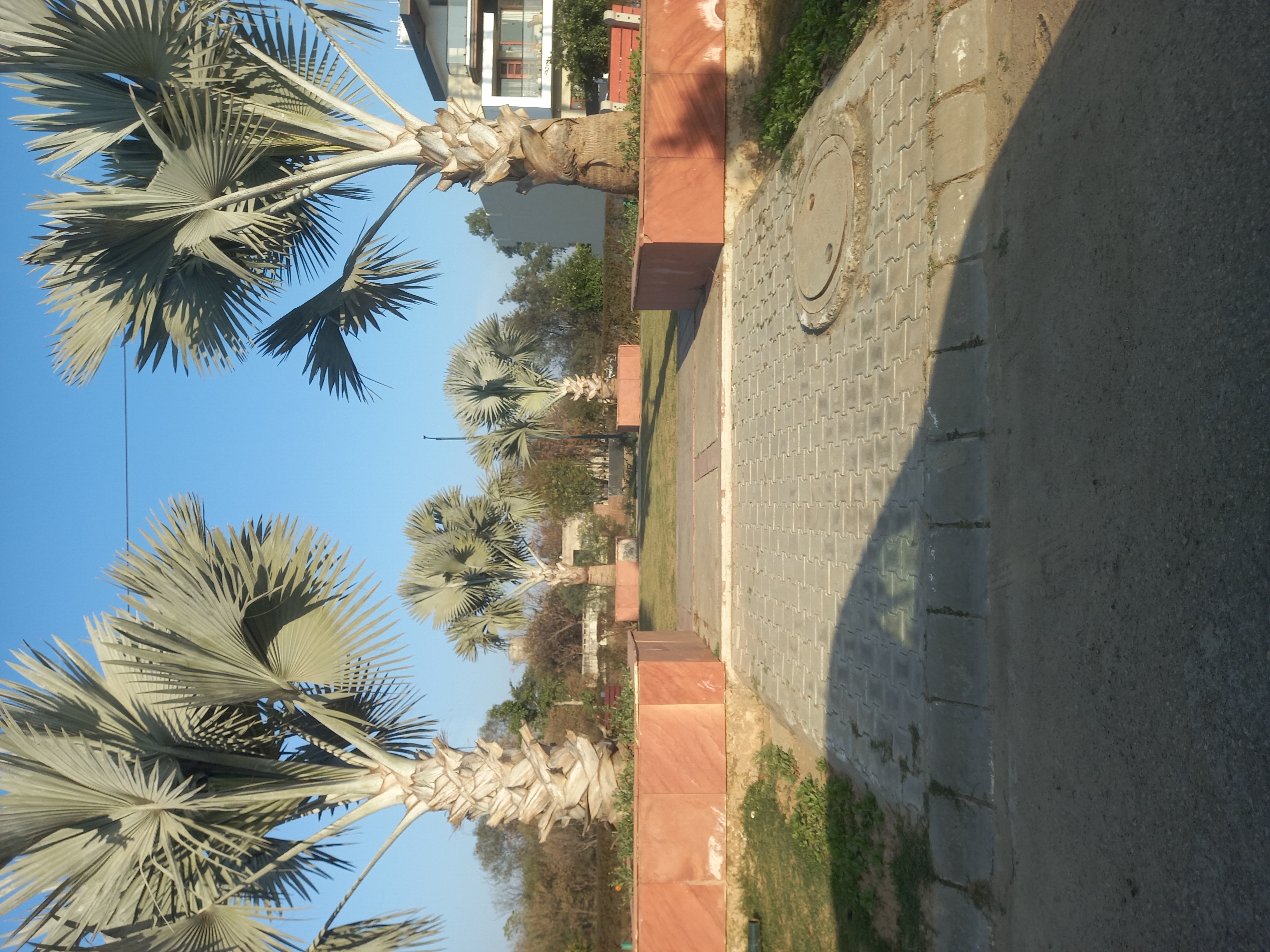 Plot For Sale in Mohali